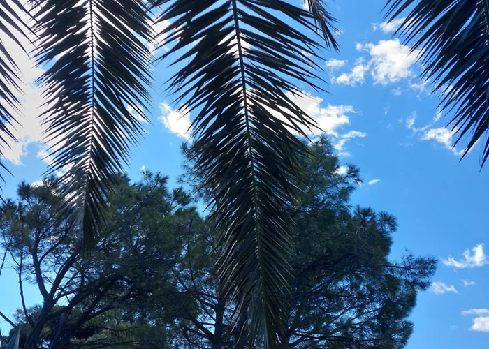 Bella Adria Appartement *